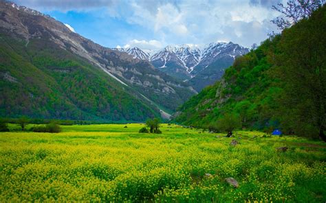 Download Wallpaper 1440x900 Meadow Mountains Flowers Landscape Widescreen 1610 Hd Background