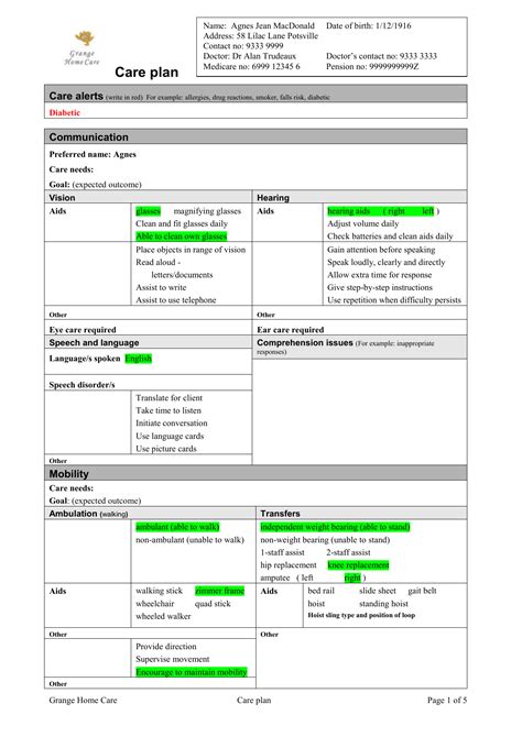 Care Management Plan Template