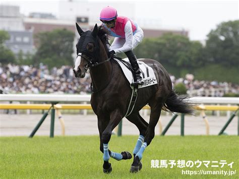 ドゥラエレーデ 競走馬データtop｜競馬予想のウマニティ