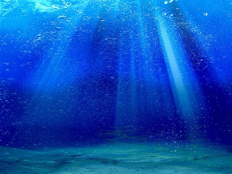 My Deep Blue Sea Segoro Werni Deep Blue Sea Underwater Background