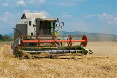 Combine Harvesting Wheat Harvest Stock Image Image Of Agriculture