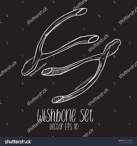 Wishbone Sketch Set Vector Illustration Stock Vector Royalty Free