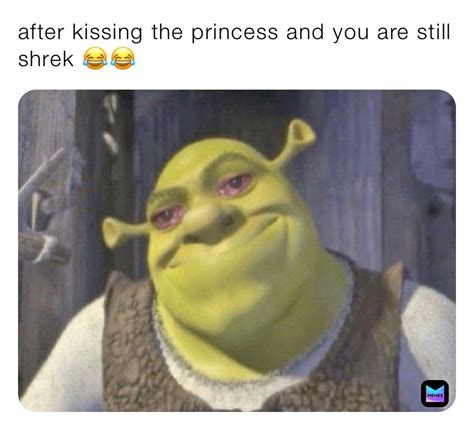 After Kissing The Princess And You Are Still Shrek Anex420 Memes