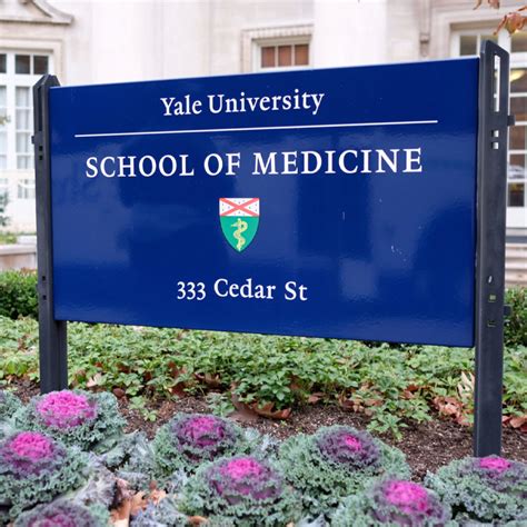 Yale Researchers Develop Promising Lyme Disease Vaccine Tank Good News