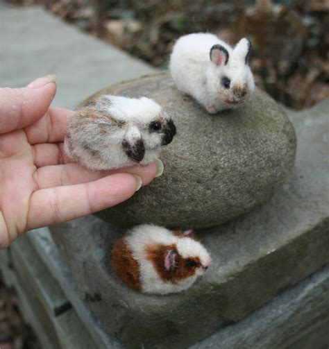 21 Super Cute Tiny Bunnies That Will Melt Your Heart Fallinpets