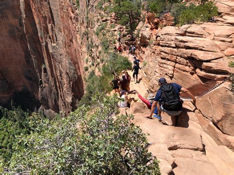 Zion National Park Angels Landing Hike Deaths Utah Man Falls To His Death At Zion National