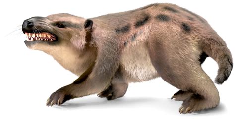 Prehistoric Mammals Ancient Mammals Dk Find Out