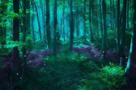 Enchanted Fairy Forest Background