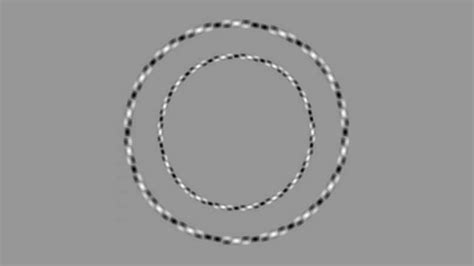 These Obviously Irregular Rings Are Actually Perfectly Round Circles
