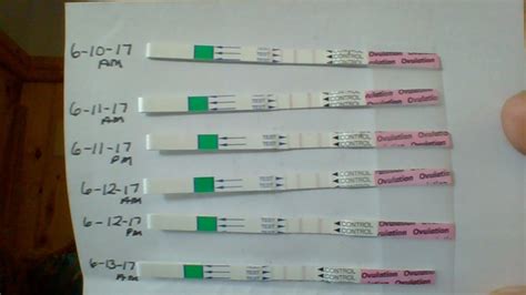 How To Read Ovulation Test The Modern Guide To Ovulation Predictor
