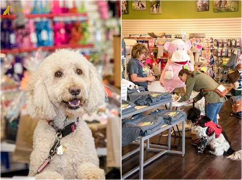 Shop online for the best cat and dog ear care products, tear stain remover, wrinkle wipes, natural supplements and more to maintain the health of petpost is on a mission to ensure cleaner, healthier and happier lives to all dogs and dog owners. North Hills Healthy Pet Day 2018 - Bark & Gold Photography ...