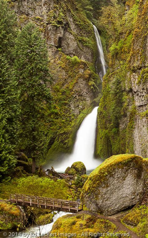 Wahclella Falls Columbia River Gorge Oregon Ed Leckert Images