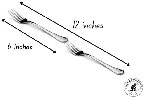 How Long Is 12 Inches Compared To An Object Measuring Stuff