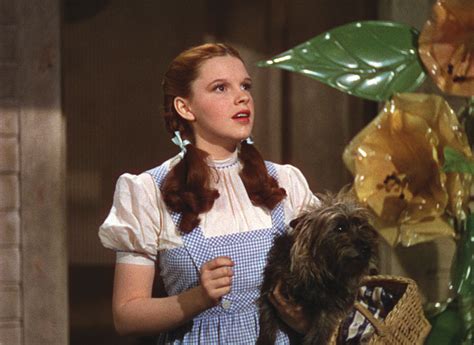 Toto And Dorothy Toto The Wizard Of Oz Photo 11525930 Fanpop