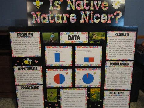Sample Boards And Abstracts Science Fair Dekalb Co Ctl United School