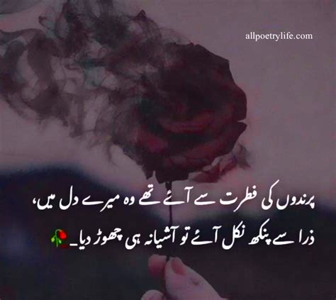 Heart Touching Poetry In Urdu 2 Lines Sms Broken Heart Shayari Sad