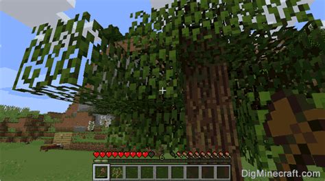 How To Make An Oak Sapling In Minecraft