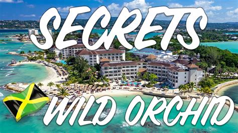 Secrets Wild Orchid Jamaica Full Resort Tour In 4k Youtube