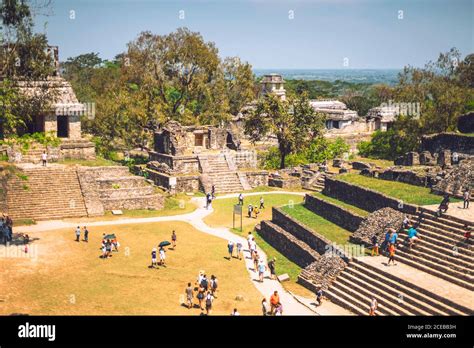 View Amazing Mayan Pyramid Located Palenque City Chiapas Hi Res Stock