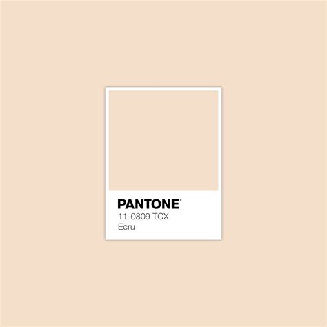 Hazelnut Ecru Summer Pantone Color Palette Pantone Colour