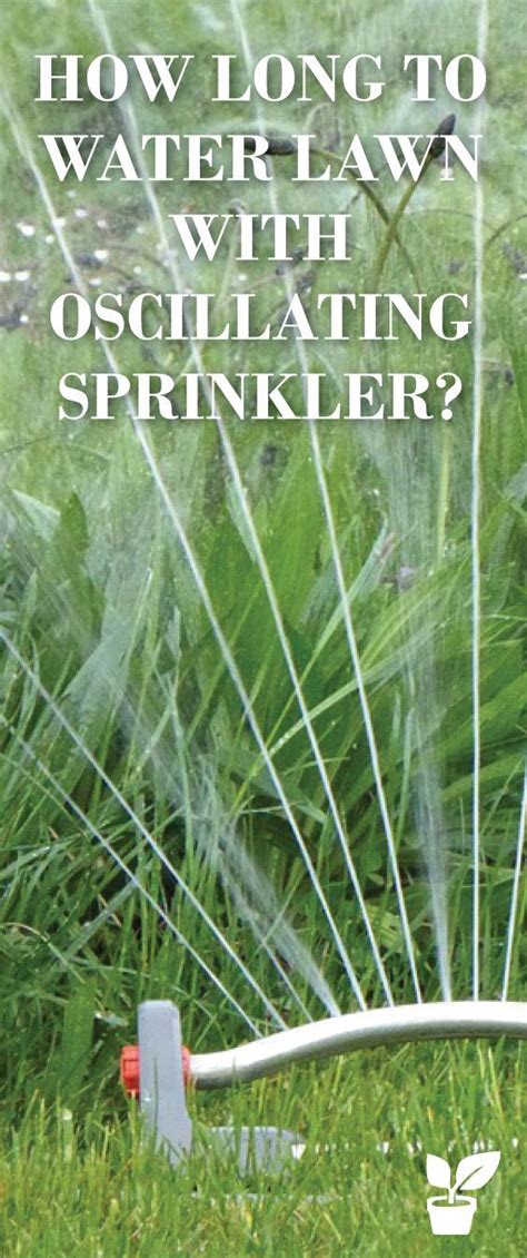 The post watering new grass watering your grass seems easy enough, right? how long to water lawn with oscillating sprinkler? the right way! | Oscillating sprinkler ...