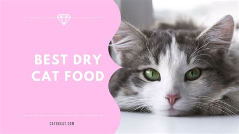 I try to read the labels, but they are not really clear on what the fillers are, and i don't wellness is a great brand. 6 Best Dry Cat Foods in 2021 | TOP Brands for Indoor ...