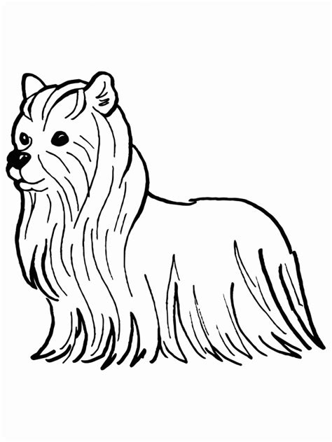 Yorkie Coloring Pages Best Coloring Pages For Kids