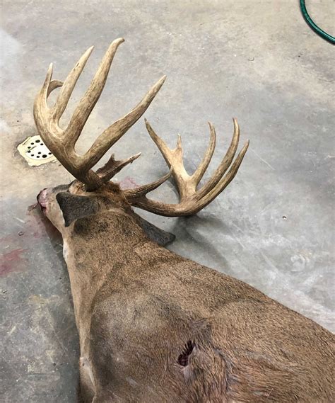 Photos This Buck Might Crush The Indiana State Record Meateater Hunting