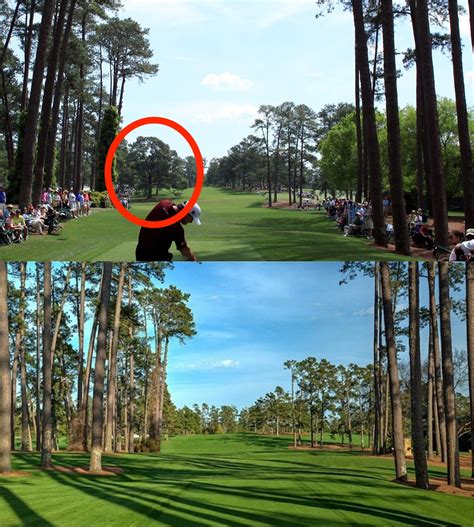 Before And After Photo Of Eisenhower Tree At Augusta Business Insider