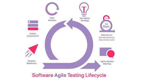 Software Testing Life Cycle A Model Based Explanation Qa Madness