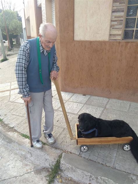Su Perro Ya No Podía Caminar Por La Edad Y Abuelito Le Construyó Un