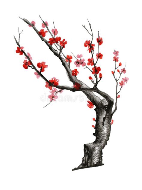 Realistic Sakura Blossom Japanese Cherry Tree Isolated On White Background Cherry Blossom