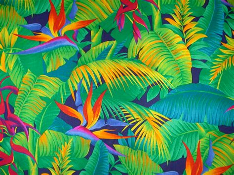 72 Hawaiian Background Images On Wallpapersafari
