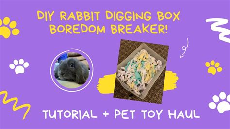 Easy Diy Rabbit Digging Box Bunny Toy Haul Youtube