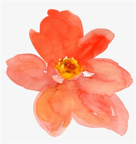Free Fall Watercolor Floral Clip Art So Pretty Orange Flower