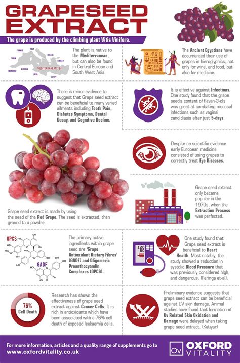 Well, it seems that grape seeds extract is one of the best supplements to improve our brain power, just like the health benefits of flax oil supplement. Grape Seed Extract Tablets | Grapes benefits, Grape seed ...