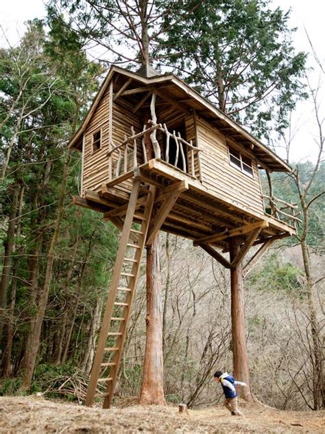 Lloyds Blog Yuichi Takeuchi Treehouse Builder From Japan Visits Us