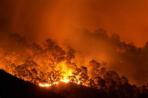 Perils Unveils Final Loss Estimate For 2019 20 Australian Bushfires