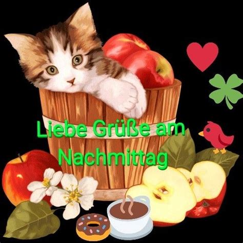 Lustige jagdbilder lustige bilder gästebuch bilder gif bilder lustig google bilder schönen nachmittag gif silvester glückwünsche momente sprüche ausmalbilder zum ausdrucken kostenlos. Pin von Gerlinde Mai auf Schönen Nachmittag | Nachmittags ...