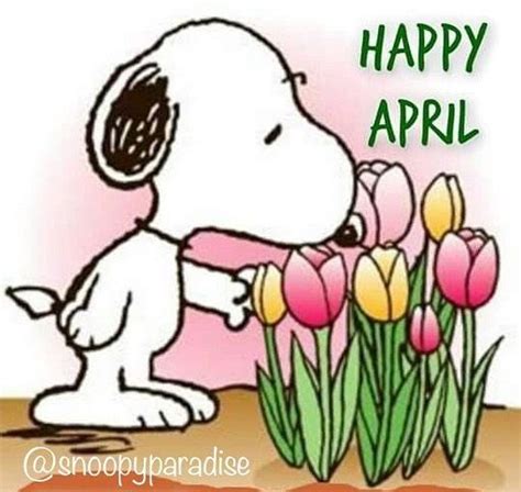 I Love Snoopy On Instagram “happy April Also Happy April Fools Day