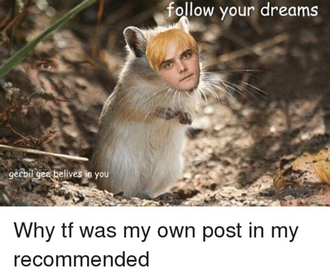 Gerbil Gee Belives In You Follow Your Dreams Why Tf Was My Own Post In