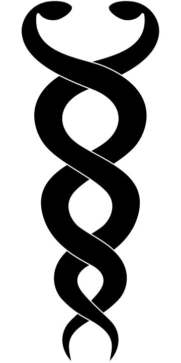 Medical Snake Symbol Png