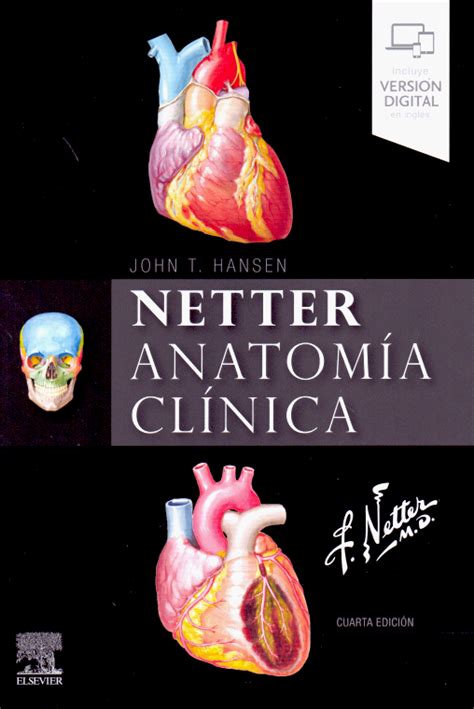Netter Anatomía Clínica En Laleo