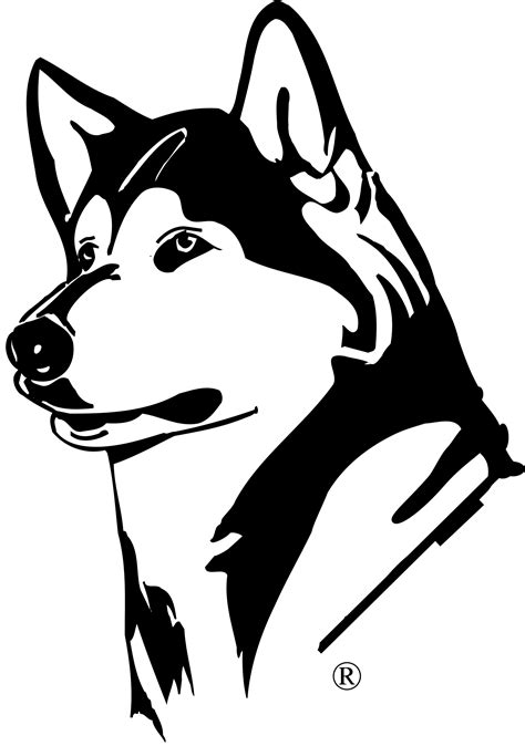 Husky Washington Huskies Logo Hd Png Download Original Size Png