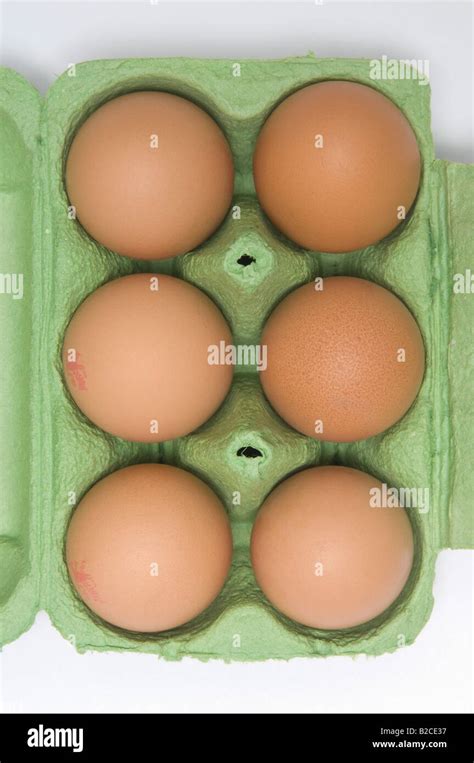 Half Dozen Eggs In Carton Stock Photo Alamy