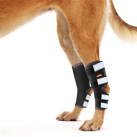 Buy Neoally Dog Rear Leg Brace Long Version Canine Hock Wraps With
