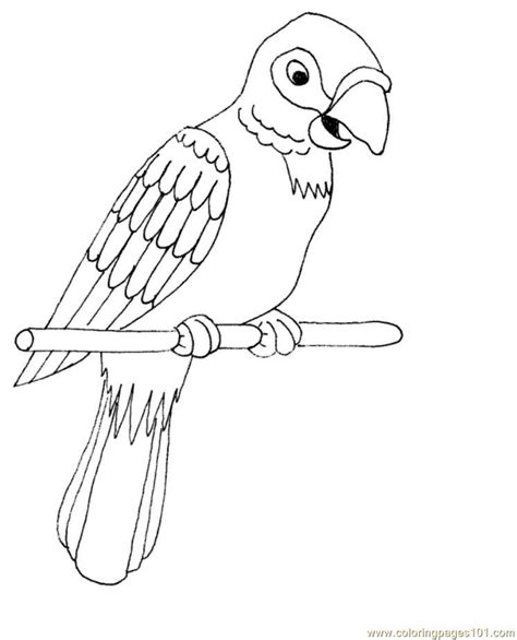 Coloring Pages Parrot Birds Parrots Free Printable Coloring Page