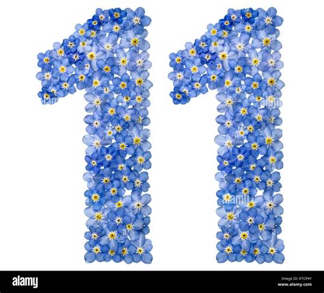 Arabic Numeral 11 Eleven From Blue Forget Me Not Flowers Isolated On