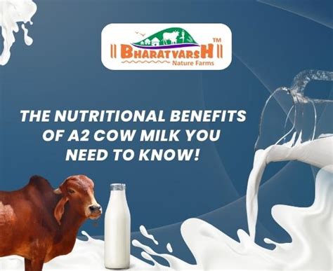 Nutritional Benefits Of A2 Cow Milk Bharatvarsh Nature Farms