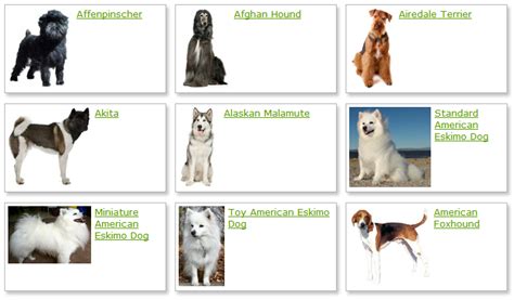 Dog Breeds List With Picture Dog Breeds Alphabetical